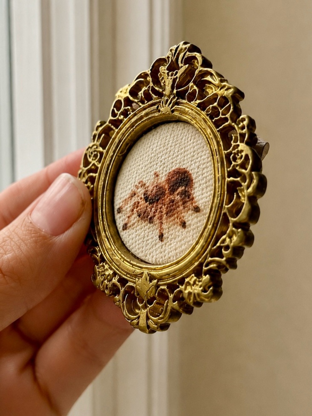 Tiny Framed Canvas Art | Newborn Baby Spider